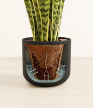 Load image into Gallery viewer, Stone Black