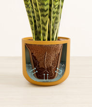 Load image into Gallery viewer, Sunset Orange