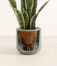 Load image into Gallery viewer, Reactive Aqua stand:all