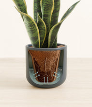 Load image into Gallery viewer, Iron Gray stand:all