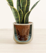 Load image into Gallery viewer, Sage Green stand:all