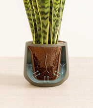 Load image into Gallery viewer, Olive stand:all