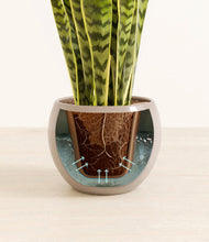 Load image into Gallery viewer, Desert Brown stand:all