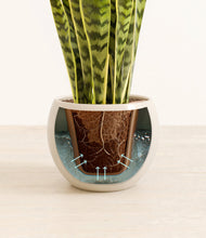 Load image into Gallery viewer, Shiny EggWhite stand:all