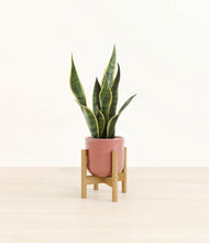 Load image into Gallery viewer, Hammered Rose Pink stand:bamboo