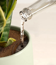 Load image into Gallery viewer, Turquoise stand:all