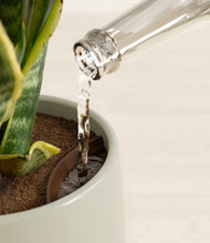 Load image into Gallery viewer, Turquoise stand:all