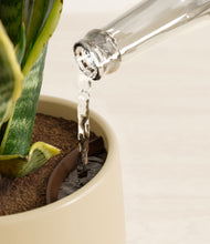 Load image into Gallery viewer, Almond Green stand:all