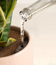 Load image into Gallery viewer, Gentle Pink stand:all