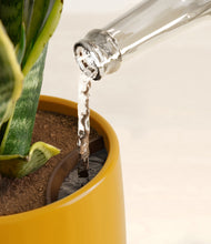 Load image into Gallery viewer, Mustard stand:all