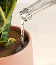 Load image into Gallery viewer, Calm Rose stand:all