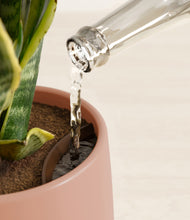 Load image into Gallery viewer, Calm Rose stand:all