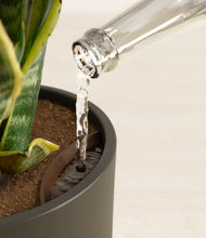 Load image into Gallery viewer, Dark Olive stand:all