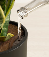 Load image into Gallery viewer, Black stand:all