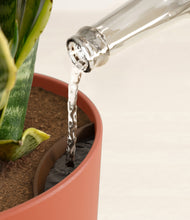 Load image into Gallery viewer, Earth Red stand:all