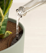 Load image into Gallery viewer, Sage Green stand:all