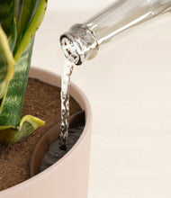 Load image into Gallery viewer, Sandy Pink stand:all