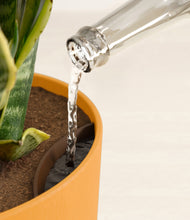 Load image into Gallery viewer, Sunset Orange stand:all