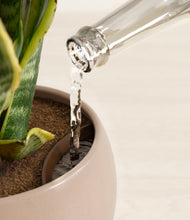 Load image into Gallery viewer, Desert Brown stand:all