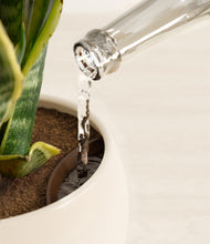 Load image into Gallery viewer, Shiny EggWhite stand:all