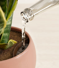 Load image into Gallery viewer, Calm Rose stand:all