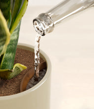 Load image into Gallery viewer, Sage Green stand:all