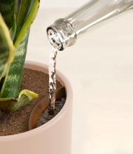 Load image into Gallery viewer, Sandy Pink stand:all