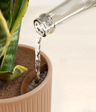 Load image into Gallery viewer, Striped Peach Pink stand:all