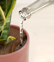 Load image into Gallery viewer, Hammered Rose Pink stand:all