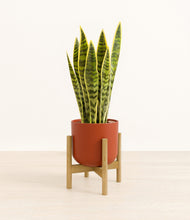 Load image into Gallery viewer, Earth Red stand:bamboo