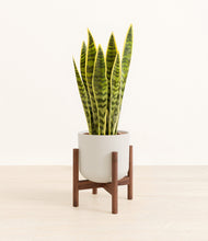 Load image into Gallery viewer, Natural Bamboo stand:walnut