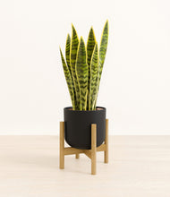 Load image into Gallery viewer, Stone Black stand:bamboo