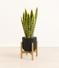 Load image into Gallery viewer, Stone Black stand:bamboo