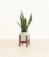 Load image into Gallery viewer, Natural Bamboo stand:walnut