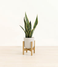 Load image into Gallery viewer, Natural Bamboo stand:bamboo