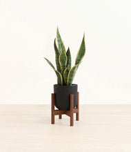 Load image into Gallery viewer, Stone Black stand:walnut