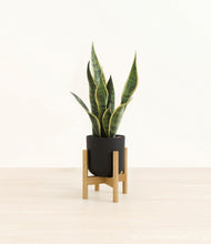 Load image into Gallery viewer, Stone Black stand:bamboo