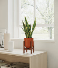 Load image into Gallery viewer, Earth Red stand:walnut