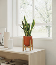 Load image into Gallery viewer, Earth Red stand:bamboo