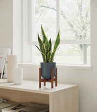 Load image into Gallery viewer, Iron Gray stand:walnut