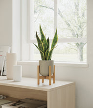 Load image into Gallery viewer, Sage Green stand:bamboo