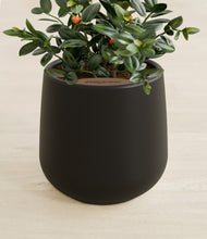 Load image into Gallery viewer, Black stand:all