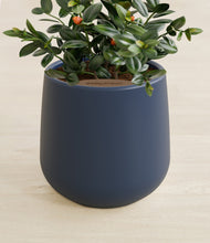 Load image into Gallery viewer, Deep Navy stand:all