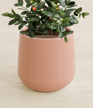 Load image into Gallery viewer, Calm Rose stand:all