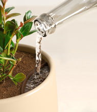 Load image into Gallery viewer, Woodland stand:all