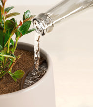 Load image into Gallery viewer, Earthy stand:all