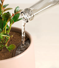 Load image into Gallery viewer, Sandy stand:all