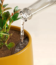 Load image into Gallery viewer, Evening Sky stand:all