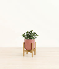 Load image into Gallery viewer, Hammered Rose Pink stand:bamboo