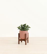 Load image into Gallery viewer, Striped Rose Pink stand:walnut